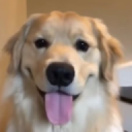 gerawd